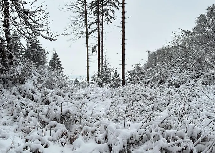 Couette-café Relax Trois Bornes - De Grenspost 3*