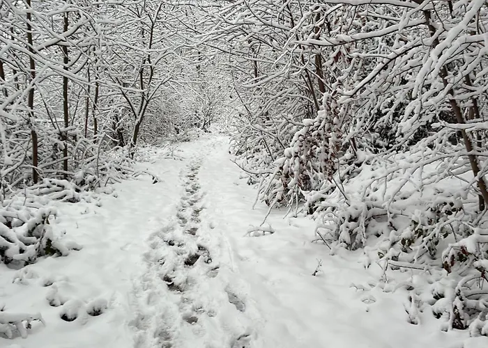 Couette-café Relax Trois Bornes - De Grenspost