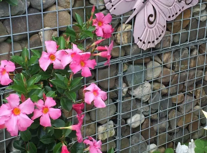 Relax Trois Bornes - De Grenspost Gemmenich